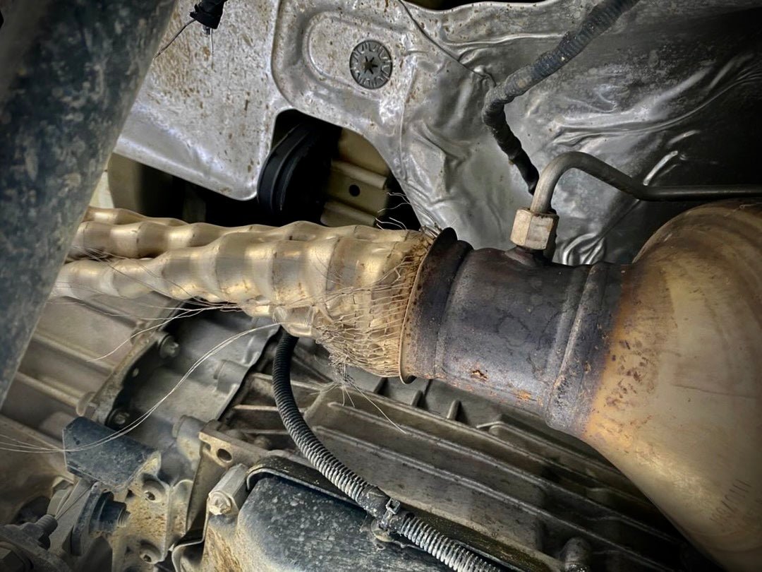 BISON - Catalytic Converter Protector