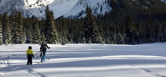 Family Adventures in the Backcountry: Skiing at Chester Lake with the Kids